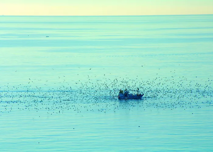 Aparthotel Ona Princesa Playa